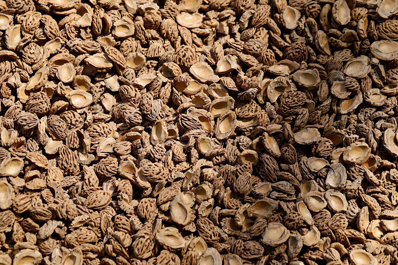 Almond shells, almond waste, nutshells in Allen, TX